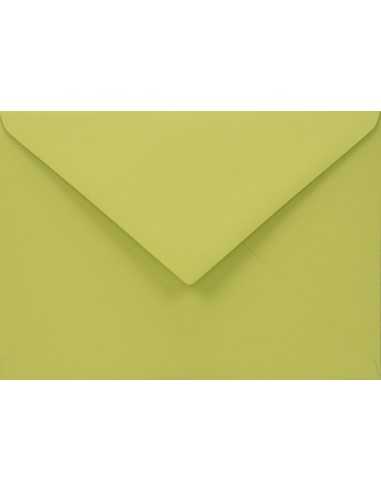 Plicuri decorative colorate ecologică C6 11,4x16,2 NK Woodstock Pistacchio verde 110g