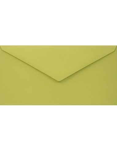 Plicuri decorative colorate ecologică DL 11x22 NK Woodstock Pistacchio verde 140g