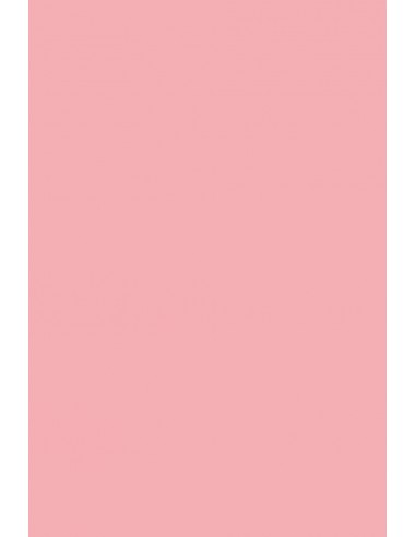 Hârtie decorativă colorată simplă Rainbow 230g R55 roz buc. 20A4