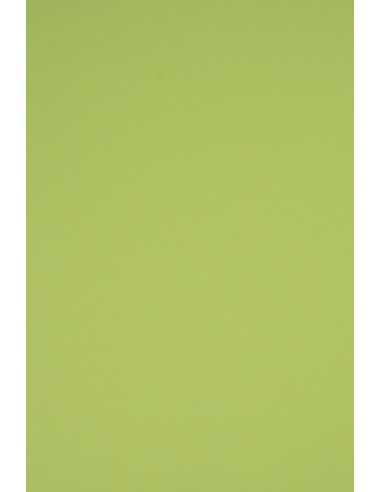 Hârtie decorativă colorată simplă Rainbow 230g R74 verde deshis buc. 20A4