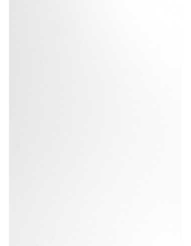 Hârtie simplă decorativă Conqueror CX22 120g White alb buc. 10A4