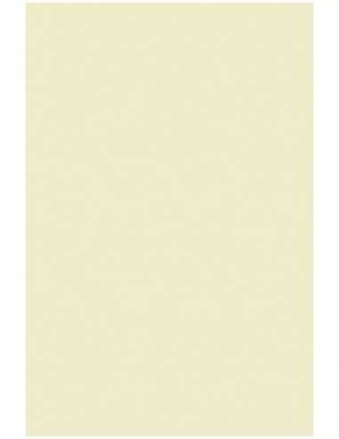 Hârtie simplă decorativă Olin 120g Regular Soft Cream ecru buc. 50A4