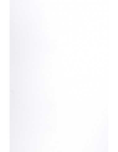 Hârtie decorativă colorată texturată Curious Matter 135g Goya White alb buc. 10A4