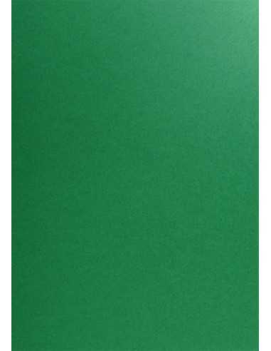 Hârtie decorativă colorată simplă Popset Virgin Pulp 240g Cactus Green verde buc. 10A4