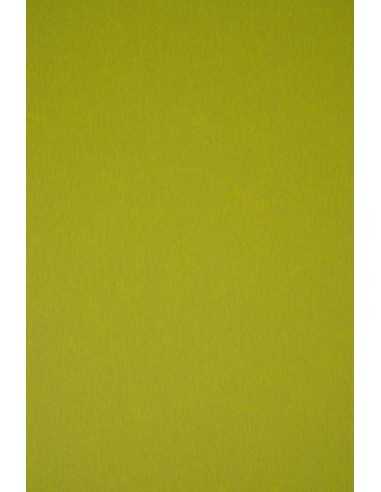 Hârtie decorativă colorată ecologică Keaykolour 300g Kiwi verde buc. 10A4