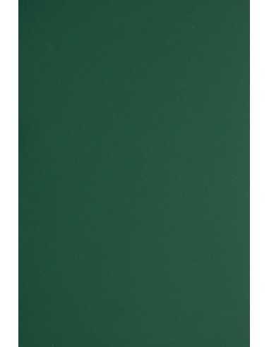 Hârtie decorativă colorată simplă Plike 330g Green verde închis buc. 10A4