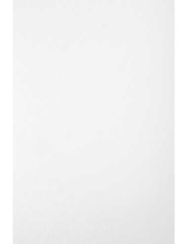 Hârtie decorativă marmorată Aster Laguna 180g White alb buc. 20A4