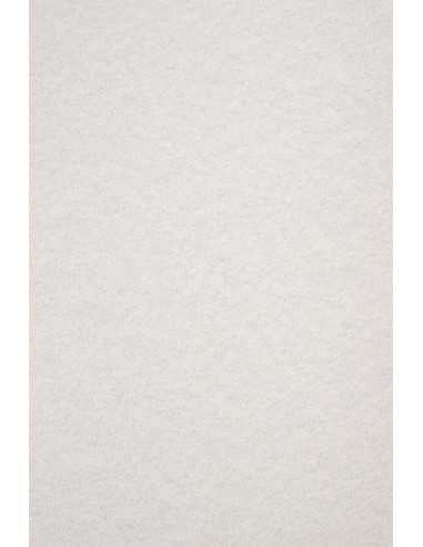 Hârtie decorativă marmorată Aster Laguna 180g Grey gri deschis buc. 20A4