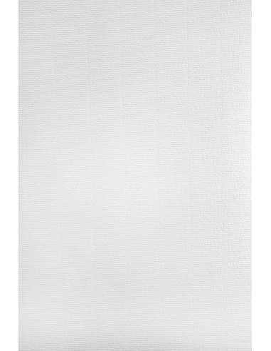 Hârtie decorativă colorată cu nervuri texturate Aster Laid 220g White alb buc. 20A4