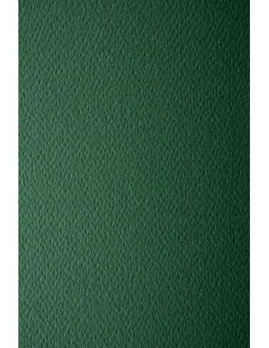 Hârtie decorativă colorată texturată Prisma 220g Pino verde închis buc. 10A4
