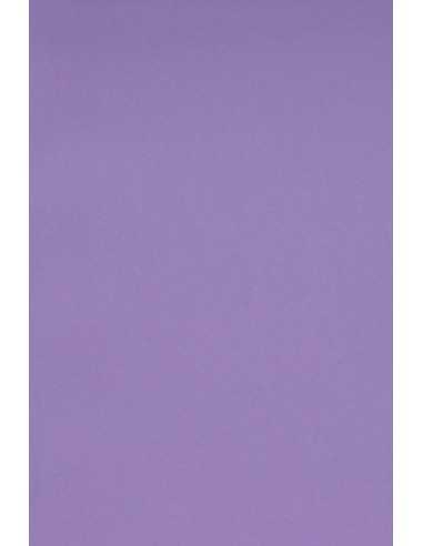 Hârtie decorativă colorată simplă Burano 250g Violet B49 violet buc. 20A4