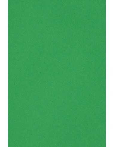 Hârtie decorativă colorată simplă Burano 250g Verde Bandiera B60 verde buc. 20A4