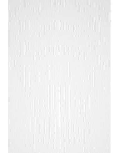 Hârtie decorativă colorată cu dungi texturate Acquerello 100g Bianco alb buc. 50A4