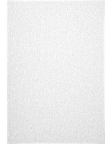 Hârtie decorativă transparentă netedă Pergamenata 110g Bianco alb buc. 10A4