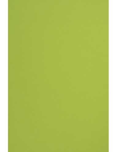 Hârtie decorativă colorată simplă Sirio Color 115g Lime verde deshis buc. 50A4