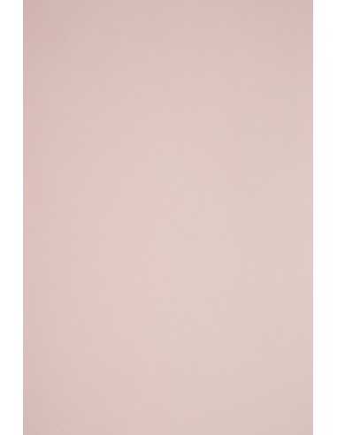Hârtie decorativă colorată simplă Sirio Color 115g Nude roz pudră buc. 50A4