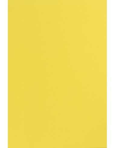 Hârtie decorativă colorată simplă Sirio Color 115g Limone galbane buc. 50A4