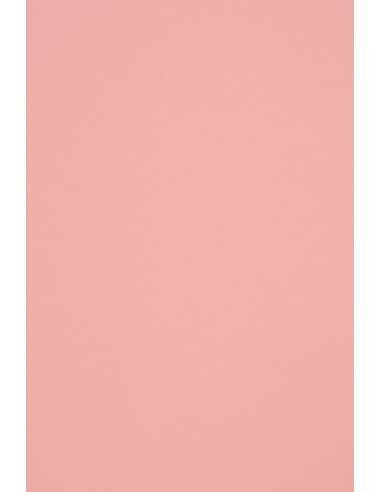 Hârtie decorativă colorată ecologică Woodstock 140g Rosa roz deschis buc. 10A4