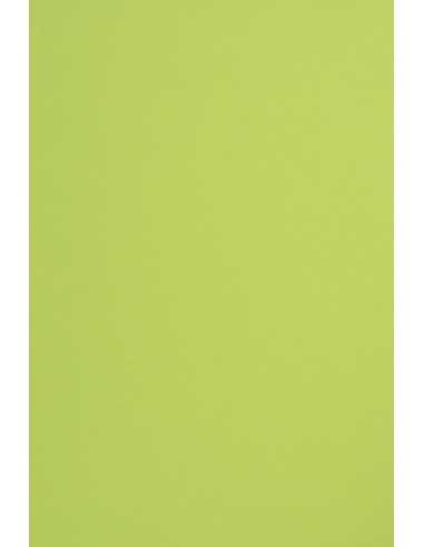 Hârtie decorativă colorată simplă Sirio Color 170g Lime verde deshis buc. 20A4