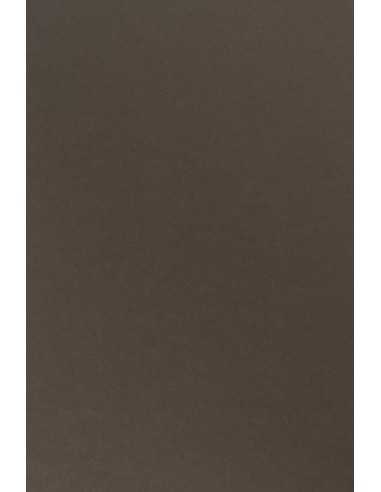 Hârtie decorativă colorată simplă Sirio Color 170g Caffe maro buc. 20A4