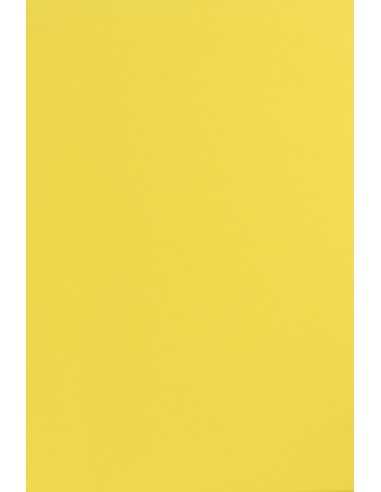 Hârtie decorativă colorată simplă Sirio Color 170g Limone galbane buc. 20A4