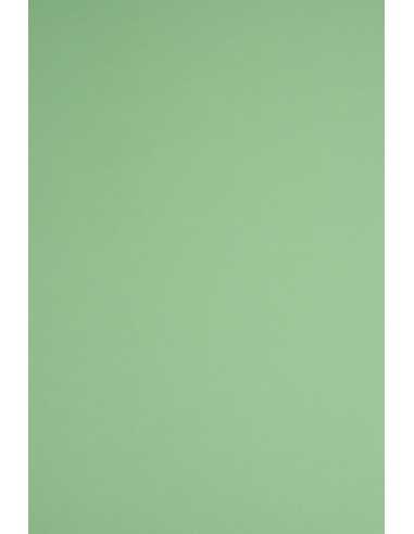 Hârtie decorativă colorată ecologică Woodstock 170g Verde verde buc. 20A4