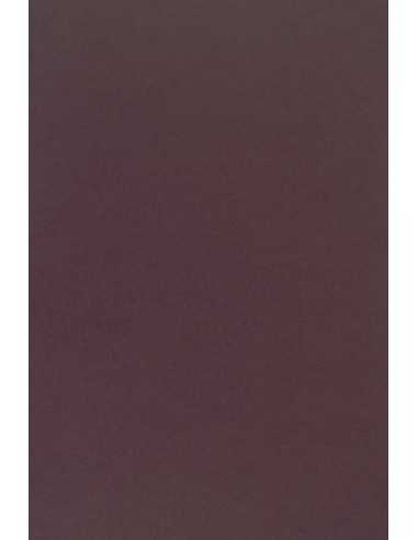 Hârtie decorativă colorată simplă Sirio Color 210g Vino violet închis buc. 25A4