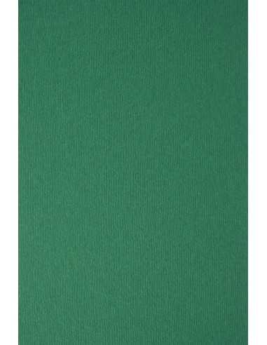 Hârtie decorativă colorată cu dungi texturate Nettuno 215g Verde Foresta verde închis buc. 10A4