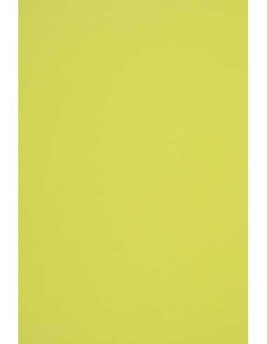 Hârtie decorativă colorată ecologică Woodstock 285g Pistacchio verde deschis buc. 10A4