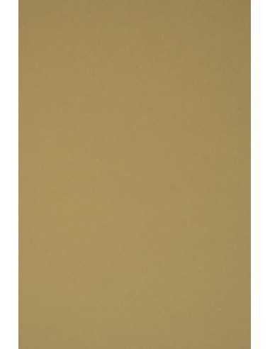 Hârtie decorativă colorată ecologică Materica 360g Kraft maro deschis buc. 10A4