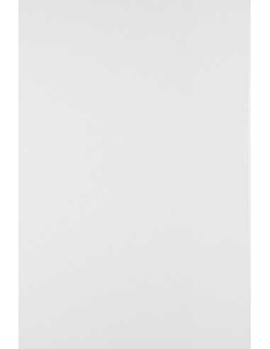 Hârtie simplă decorativă Lessebo Smooth 170g White alb buc. 100A4