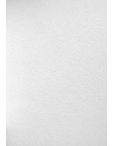 Hârtie decorativă groasă Wild 450g Alb alb buc. 10A5