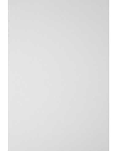 Hârtie decorativă netedă Elfenbens 246g Glazed alb buc. 10A3