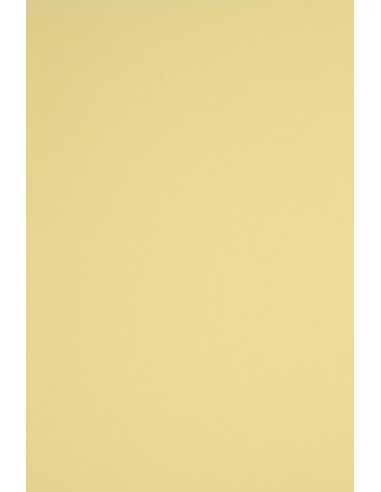 Hârtie decorativă colorată simplă Rainbow 230g R12 galben deschis 70x100 R125 1 buc.