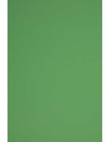 Hârtie decorativă colorată simplă Rainbow 230g R78 verde închis 70x100 R125 1 buc.