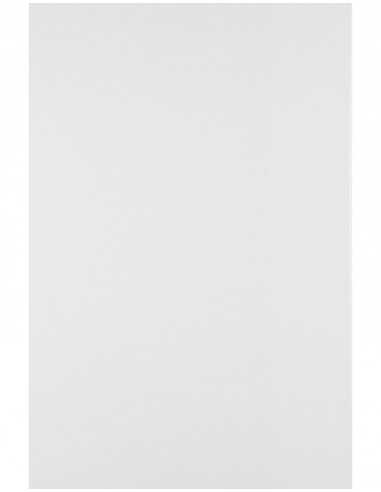 Hârtie simplă decorativă Olin 120g Regular Ultimate White alb 72x102 1 buc.