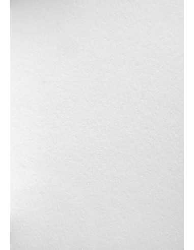 Hârtie decorativă groasă Wild 450g White alb 72x102 R25