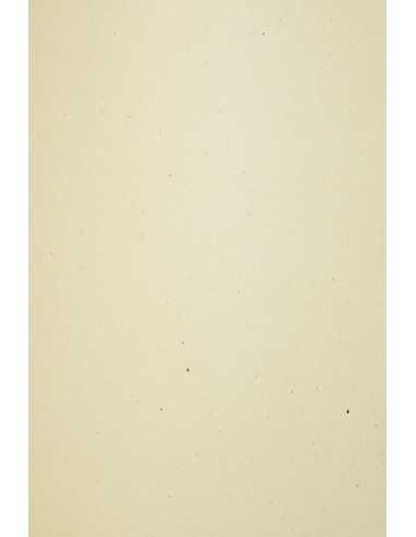 Hârtie decorativă colorată ecologică cu incluziuni Flora 350g Tabacco maro deschis 72x102 R50 1 buc.