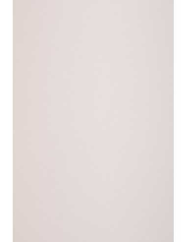 Hârtie decorativă colorată ecologică Keaykolour 120g Pastel Pink roz deschis 70x100 R250 1 buc.