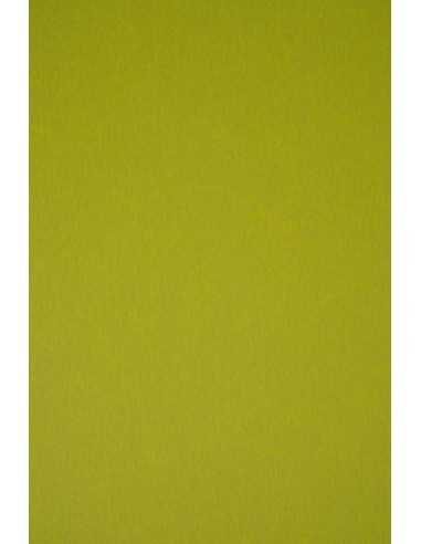 Hârtie decorativă colorată ecologică Keaykolour 300g Kiwi verde 70x100 R100 1 buc.
