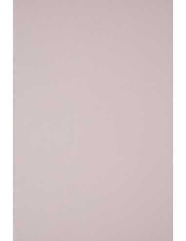 Hârtie decorativă colorată ecologică Keaykolour 300g Pastel Pink roz deschis 70x100 R100 1 buc.
