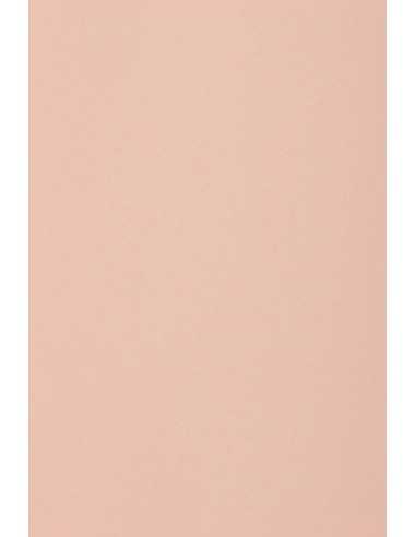 Hârtie decorativă colorată simplă Burano 250g B10 Rosa roz 70x100 R125 1 buc.