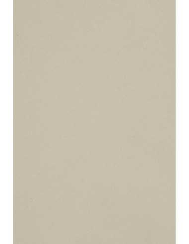 Hârtie decorativă colorată simplă Burano 250g B12 Grigio gri 70x100 R125 1 buc.