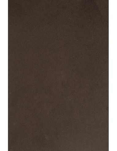 Hârtie decorativă colorată simplă Sirio Color 115g Cacao maro 70x100 R250 1 buc.