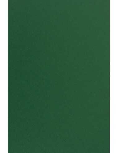 Hârtie decorativă colorată simplă Sirio Color 170g Foglia verde închis 70x100 R200 1 buc.