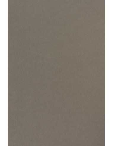 Hârtie decorativă colorată simplă Sirio Color 170g Pietra gri 70x100 R200 1 buc.