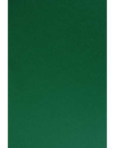 Hârtie decorativă colorată simplă Sirio Color 210g Foglia verde închis 70x100 R125 1 buc.