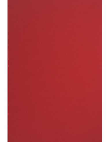 Hârtie decorativă colorată simplă Sirio Color 210g Lampone roșu 70x100 R125 1 buc.