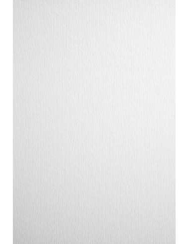 Hârtie decorativă colorată cu dungi texturate  Nettuno 215g Bianco Artico alb 72x101 R125 1 buc.