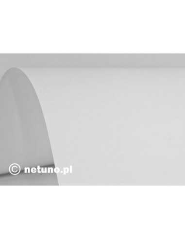 Hârtie simplă decorativă Biancoflash Premium ACC 500g White alb 71x101 R50 1 buc.
